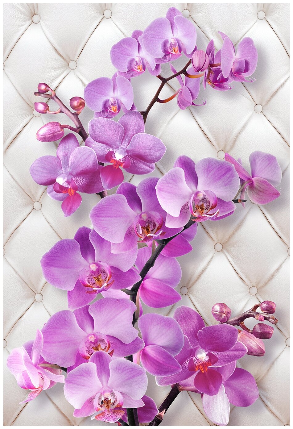 Фотообои Уютная стена "Лиловые орхидеи на кожаной белой обивке" 180х270 см Виниловые Бесшовные (единым полотном)
