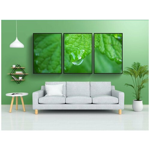 фото Набор модулных постеров для интерьера "лимонный бальзам, завод, травы" 60x90 см. в тубусе, без рамки lotsprints