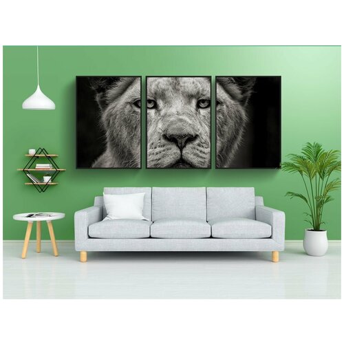 фото Набор модулных постеров для интерьера "лев, животное, африке" 60x90 см. в тубусе, без рамки lotsprints