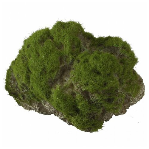 Декоративный камень с мхом для аквариума AQUA DELLA Moss Stone, 12x9.5x10.5см (Бельгия)