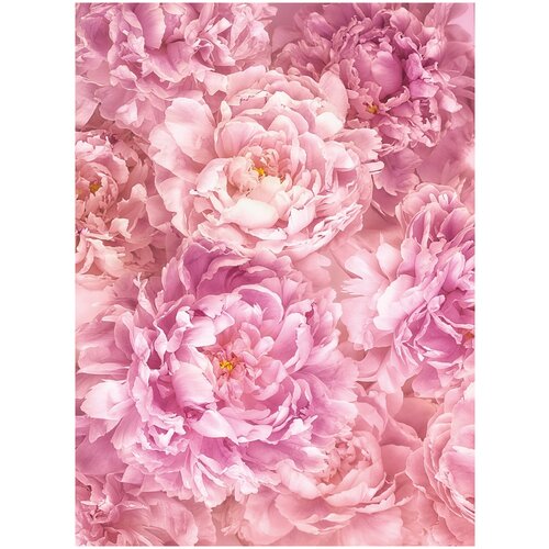 Фотообои флизелиновые KOMAR XXL2-009 Соаве 184х248 см ШхВ 4040₽