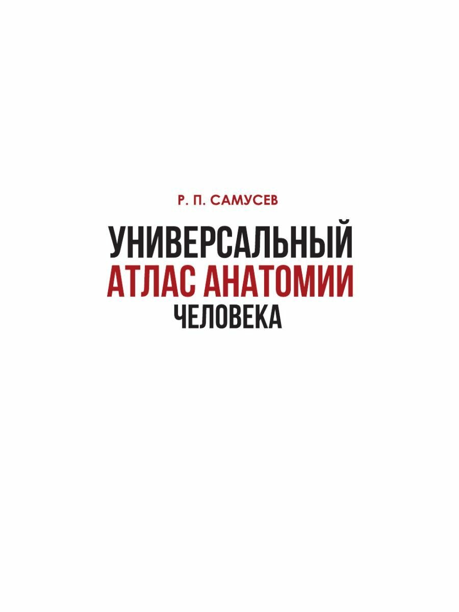 Универсальный атлас анатомии человека с цветными иллюстрациями - фото №7