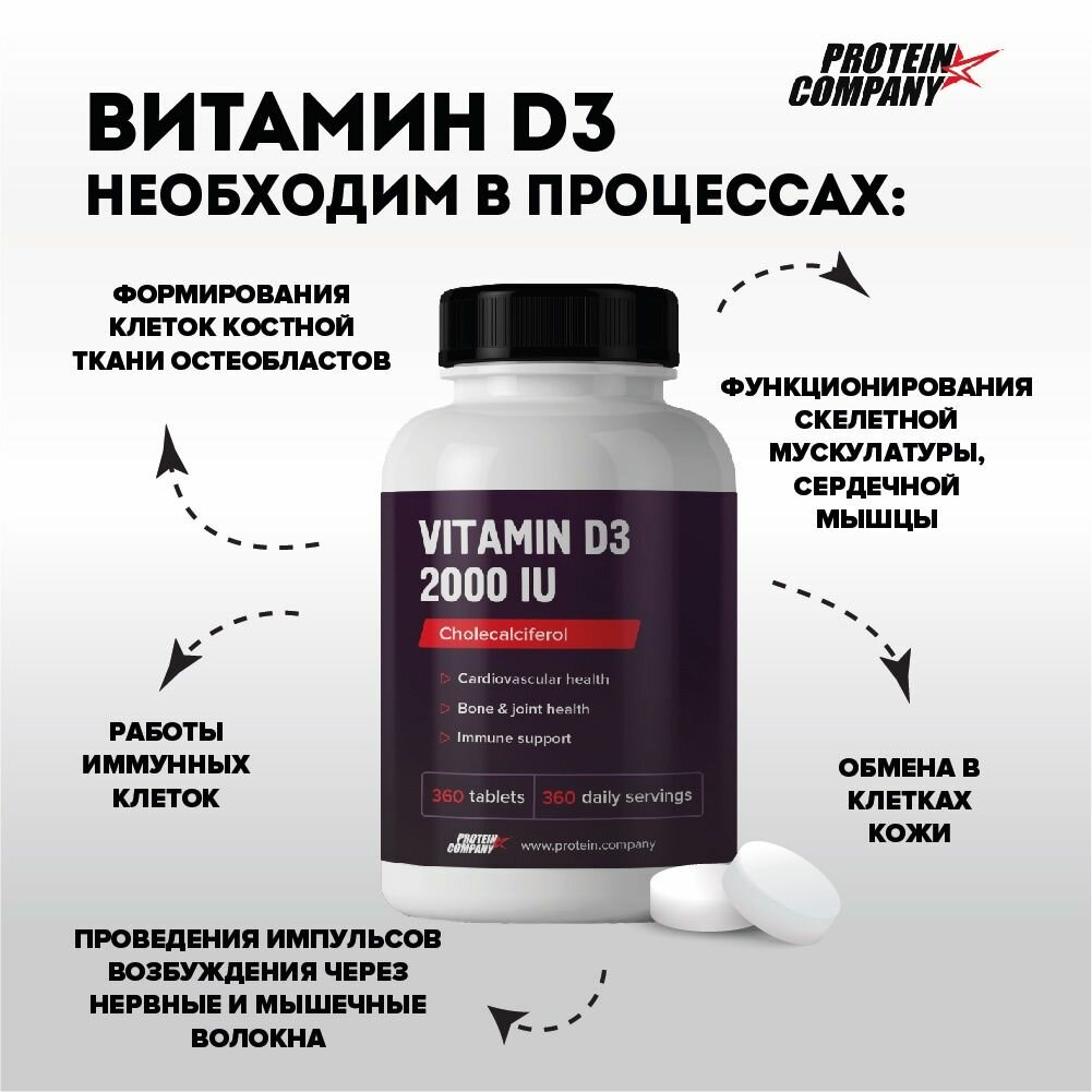 Витамин D3 2000 IU 450 мг, PROTEIN.COMPANY холекальциферол, со вкусом ванили, 360 таблеток — фото 1