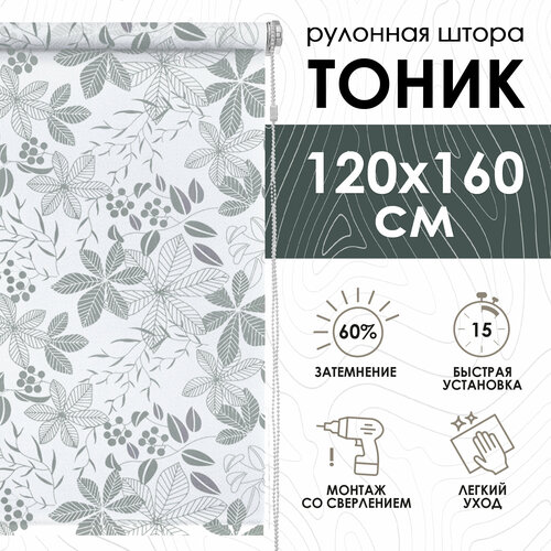 фото Рулонная штора эскар тоник, полиэстер, цвет серый, размер 120х160 см
