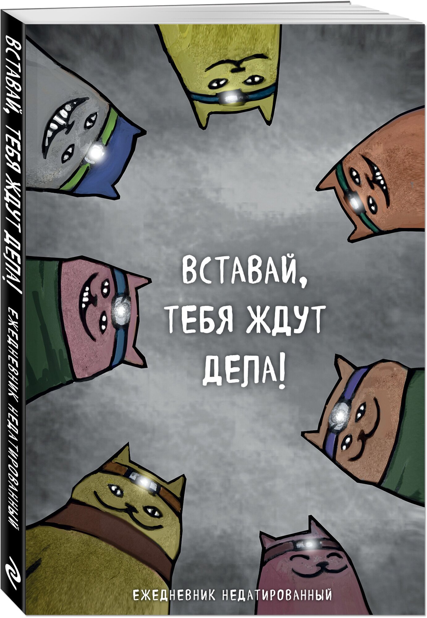 Богданова Е. В. Коты-туристы. Вставай, тебя ждут дела. Ежедневник недатированный (А5, 72 л.)