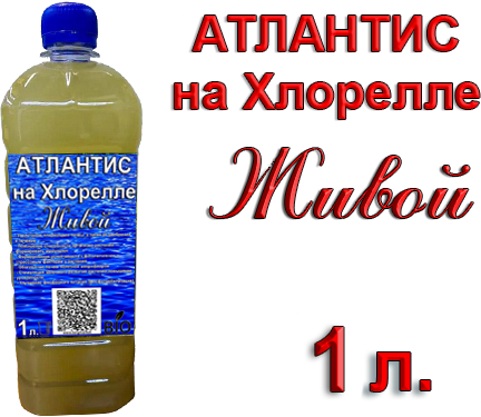 Атлантис на Хлорелле (Pseudomonas, Bacillus), 1 литр