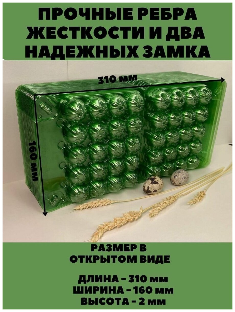 Упаковка для перепелиных яиц, 20 ячеек, 10 шт/уп - фотография № 5