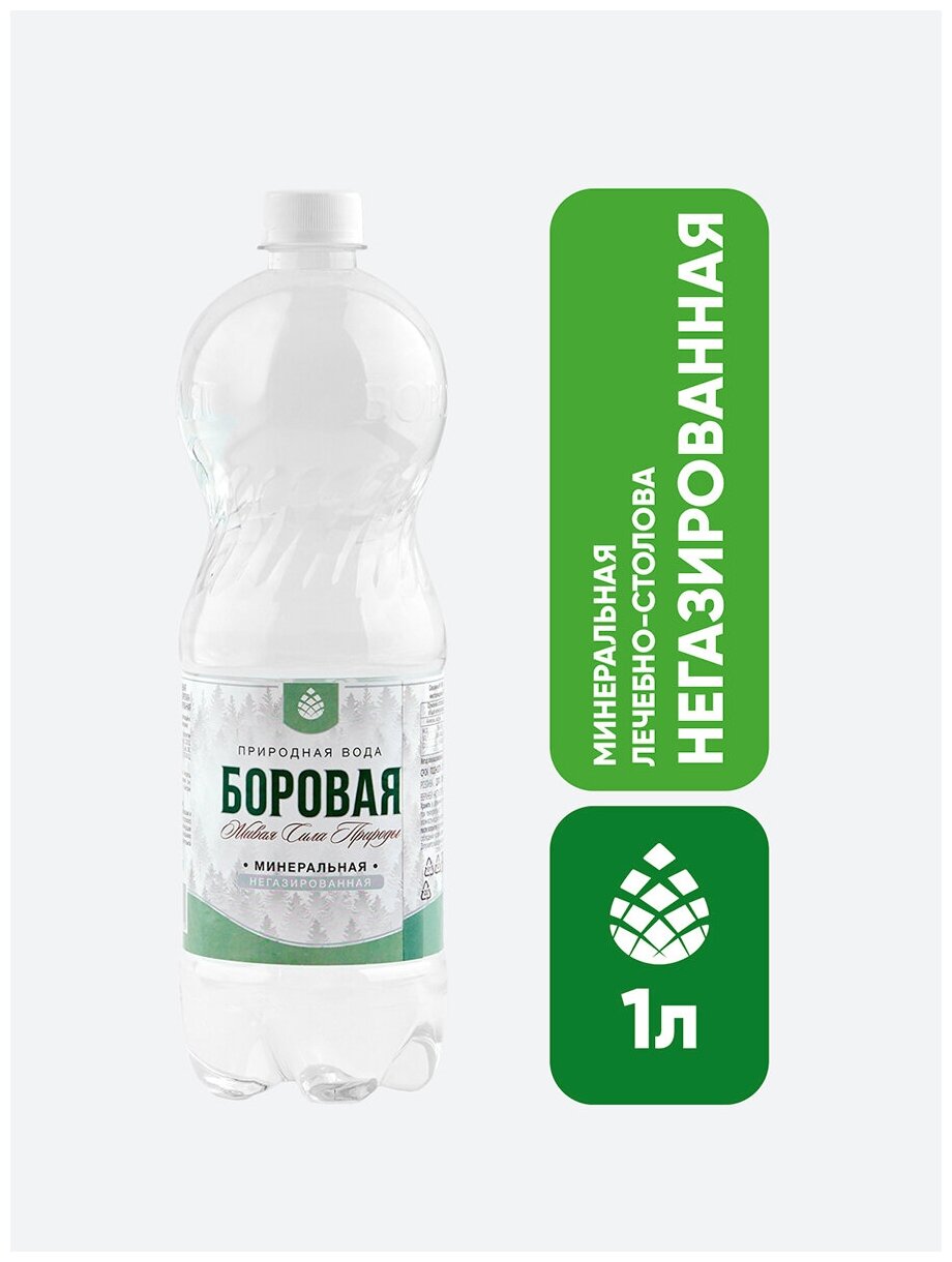 Вода минеральная BOROVAYA (Боровая), лечебно-столовая питьевая природная сульфатно-кальциевая негазированная, 1 л - фотография № 2