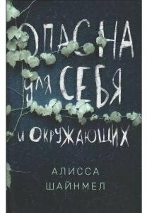 Опасна для себя и окружающих (Шайнмел Алисса) - фото №13