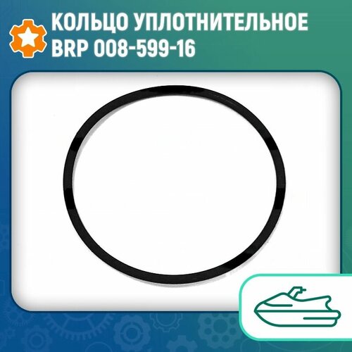 Кольцо уплотнительное BRP 008-599-16