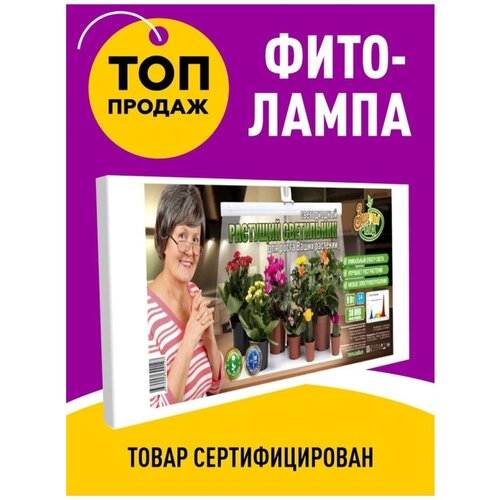 Домашняя чудо грядка 2 модуля Zdorovya Klad original проращиватель зёрен пшеницы