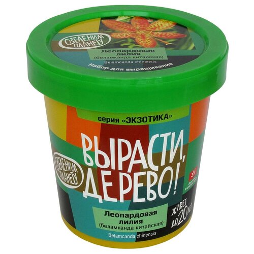 Подарочный набор для выращивания растений 