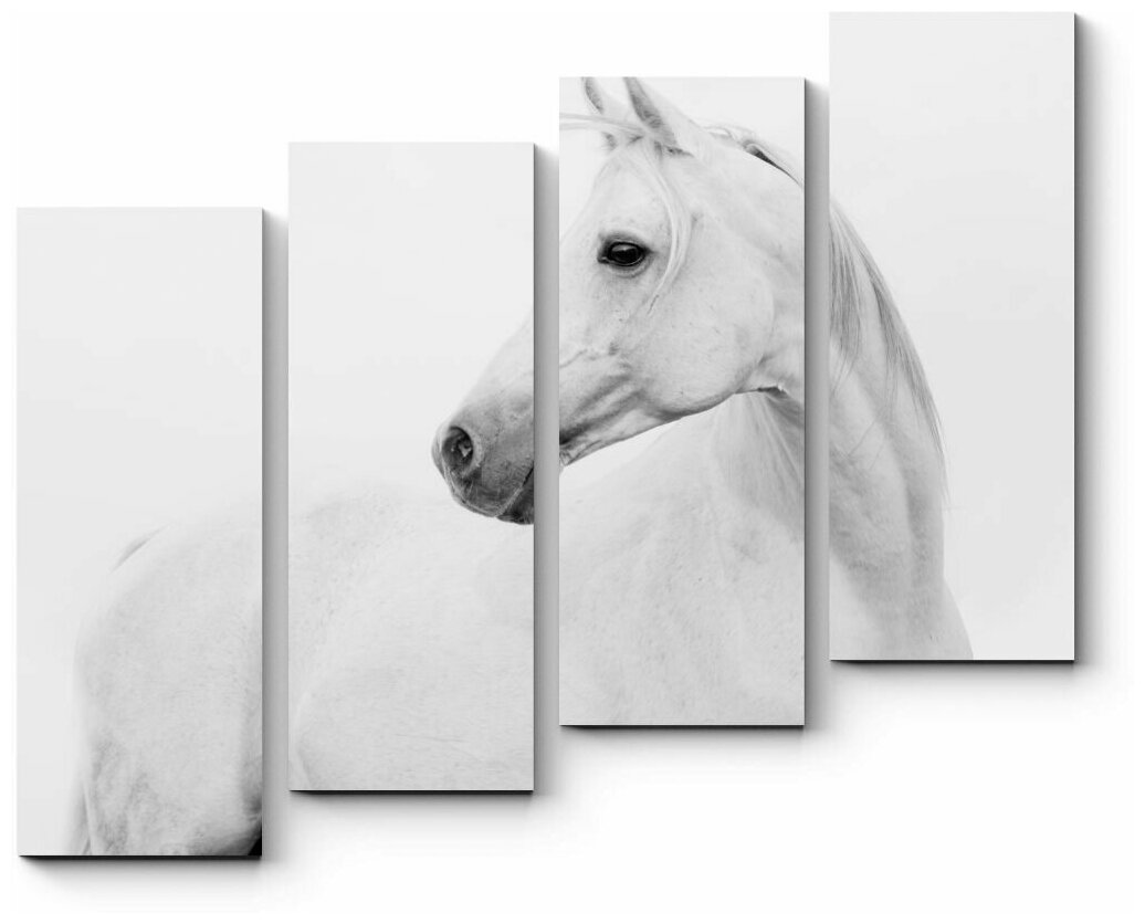 Модульная картина Белая лошадка 110x95