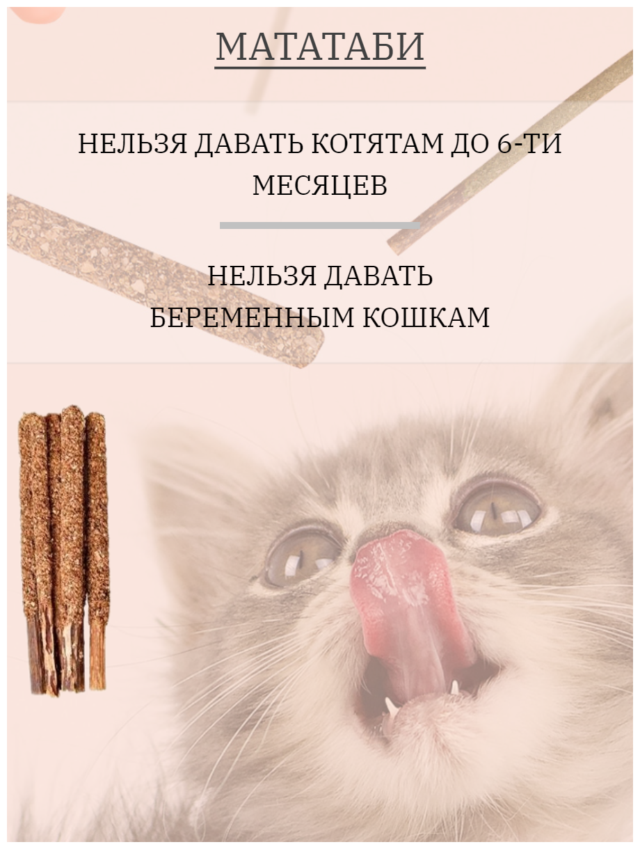 Жевательные деревянные палочки Мататаби для чистки зубов кошкам с плодами актинидии 6 штук. - фотография № 6