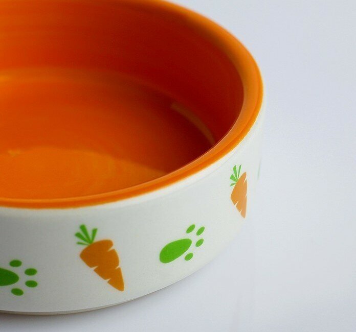 Миска керамическая для грызунов двухцветная с морковками, оранжево-белая, 8,8 х 8,8 х 3 см, 80 мл - фотография № 3