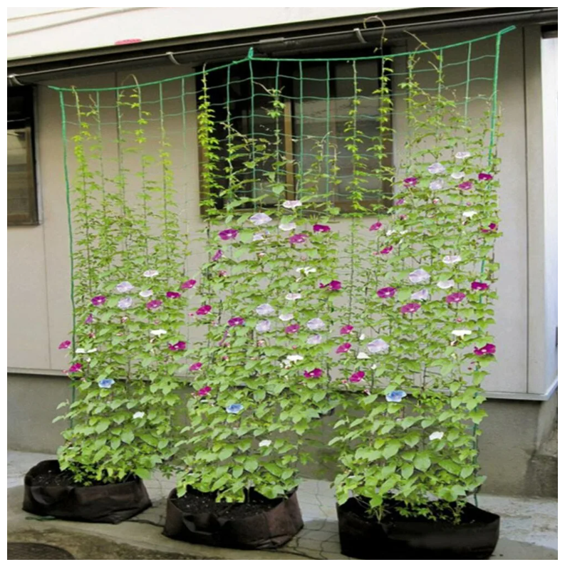 Шпалерная сетка для огурцов и вьющихся растений "Interlok" (размер 2 м х 10 м) - фотография № 13