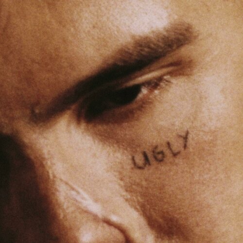 Виниловая пластинка Slowthai UGLY (LP) carey