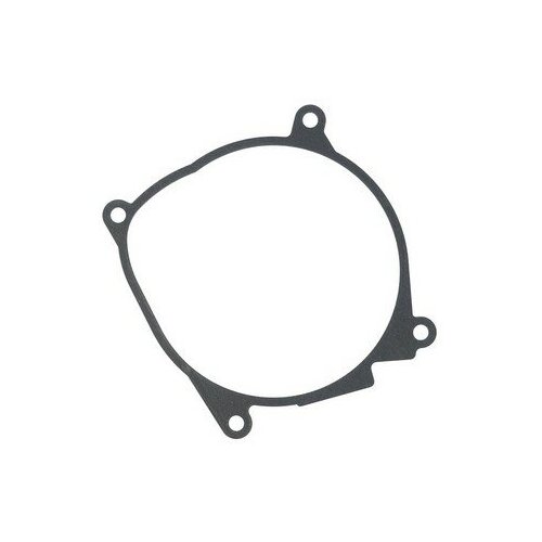 EBERSPAECHER Прокладка нагнетателя воздуха в камеру сгорания AIRTRONIC D2 (EBERSPAECHER)