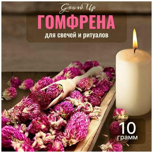 Сухая трава Гомфрена (цветы) для свечей и ритуалов, 10 гр сухая трава бессмертник цветы для свечей и ритуалов 5 гр