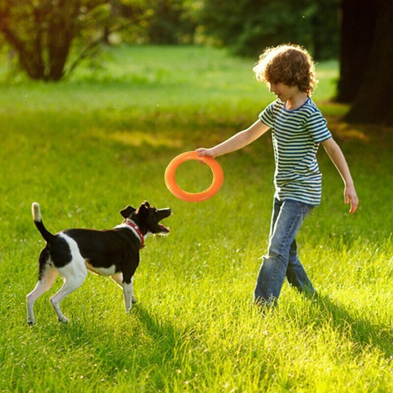 Игрушка для собак кольцо для средних пород легкое EVA материал, диаметр 17 см, оранжевый - фотография № 2