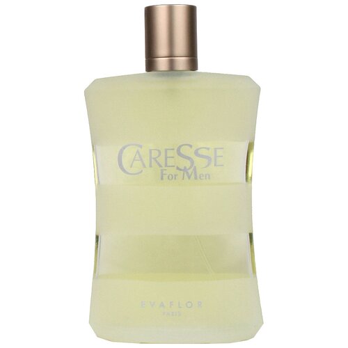 Evaflor Caresse for Men туалетная вода 100 мл для мужчин