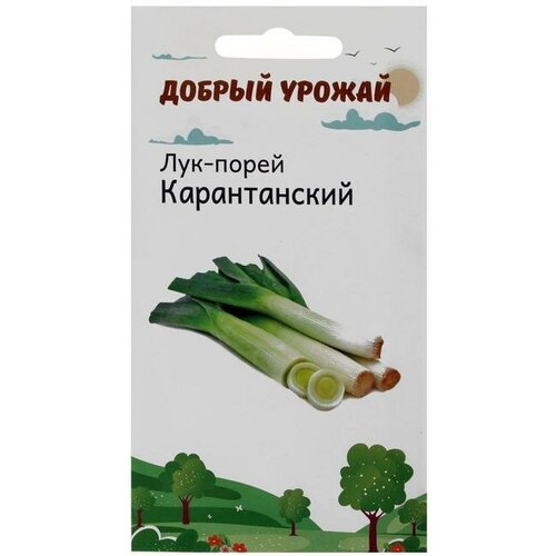 Семена Лук-порей Карантанский 0,2 гр семена лук порей карантанский поздний 1 г 2 шт