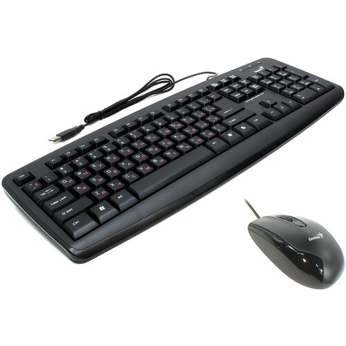 Клавиатура и мышь Genius KM-110X Black USB (31330026107)