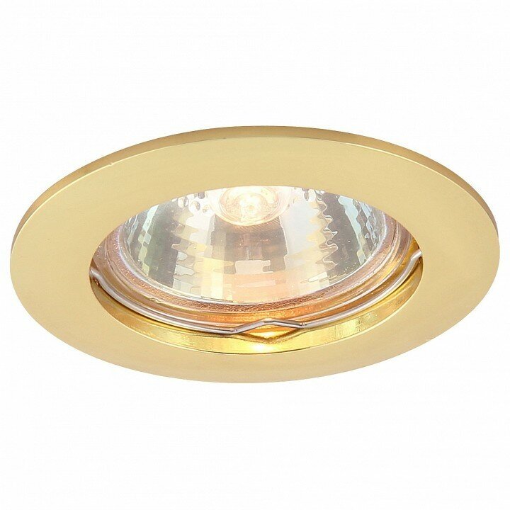 Встраиваемый светильник Arte Lamp Basic A2103PL-1GO Цвет арматуры золото Цвет плафонов белый