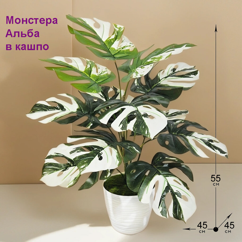 Искусственное растение Монстера Альба 55 см в кашпо от ФитоПарк