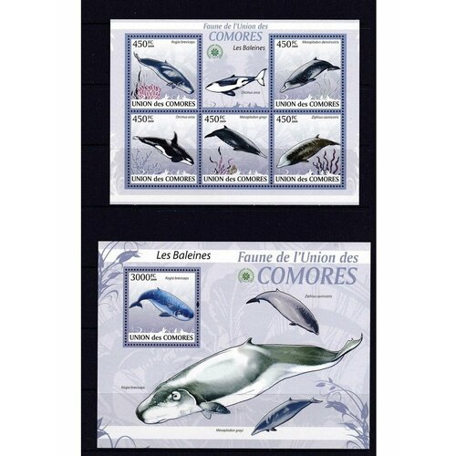 Коморы Киты Морская фауна 2009 почтовые марки лист+блок почтовые марки россии 1992 год 4 фауна охрана природы актуальная тема филателии блок