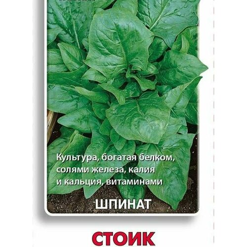 Семена Шпинат Стоик