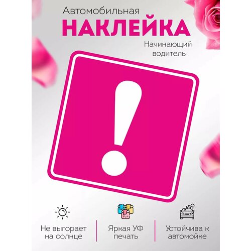 Наклейка на авто Начинающий водитель для девушек