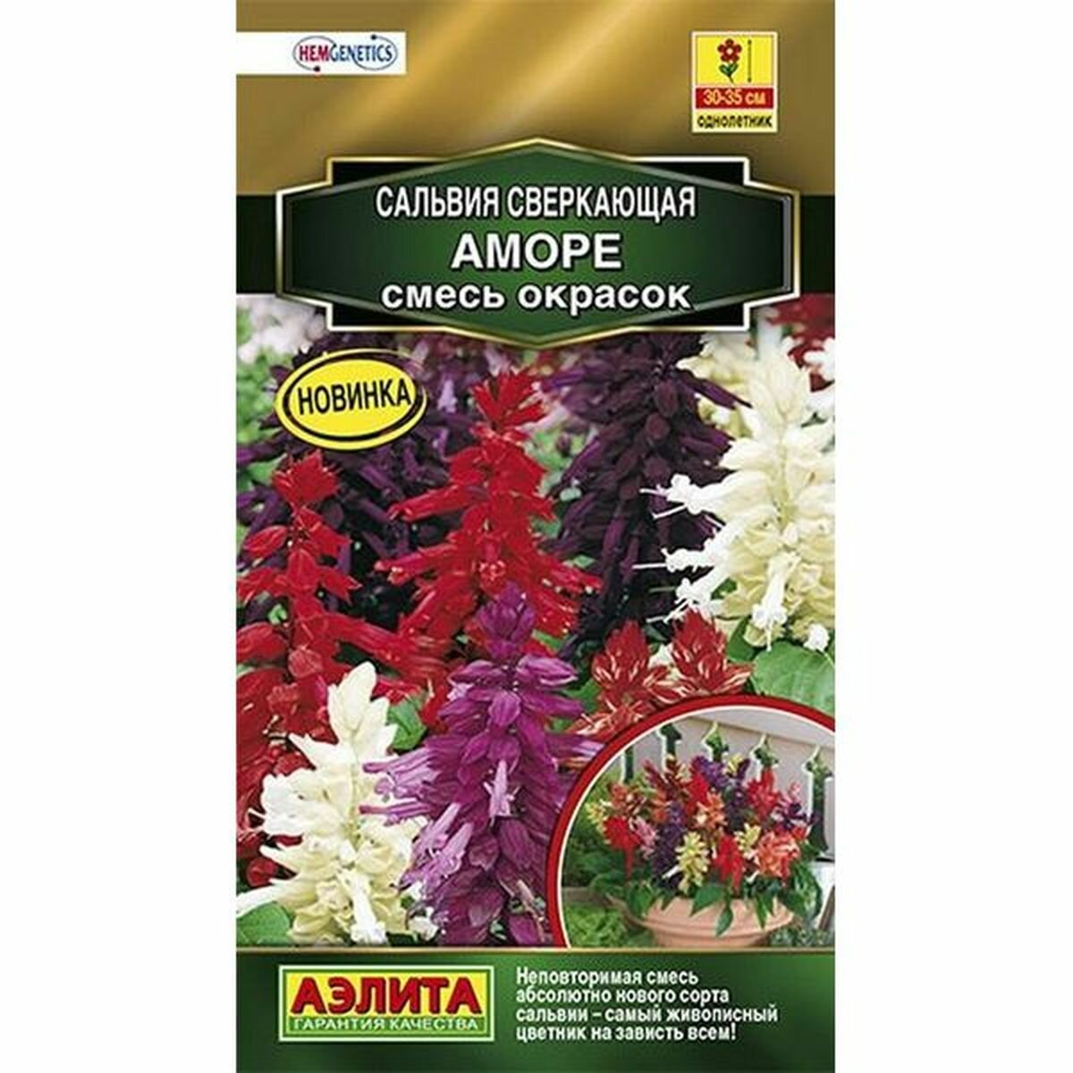 Семена Сальвия Аморе смесь окрасок однолетник Аэлита - Золотая серия 1 пачка - 7 семян