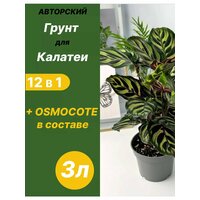 Грунт для Калатеи 5л готовый