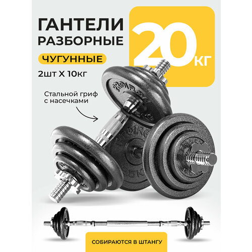 Гантели разборные PROIRON, 2шт по 10кг, с грифом, чугунные