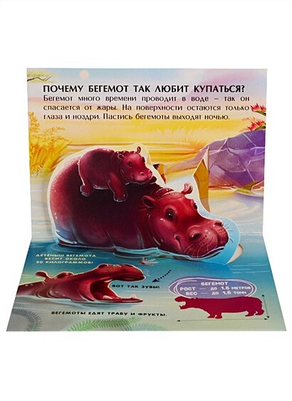 Коллекция карманных POP-UP энциклопедий — фото 1