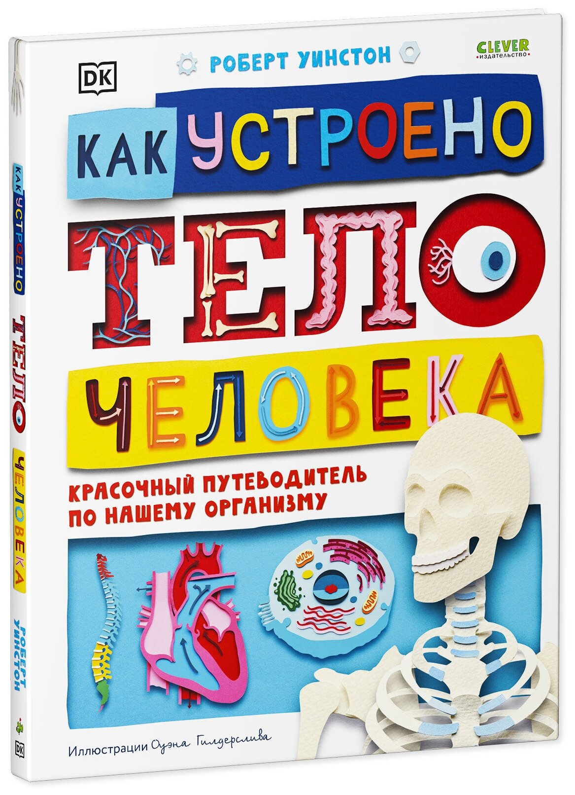 Книга Как устроено тело человека. Красочный путеводитель по нашему организму - фото №13