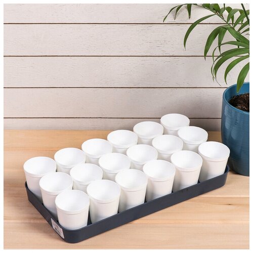 фото Набор для рассады: стаканы по 250 мл (18 шт.), поддон, цвет микс, greengo mikimarket