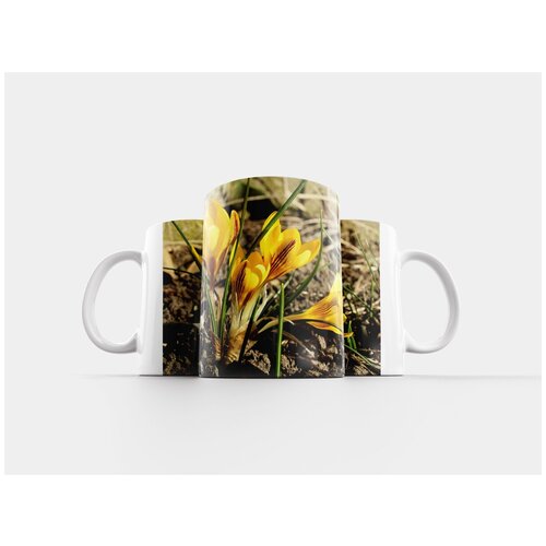 фото Кружка "крокусы, желтые цветы, ранняя весна" 320 мл lotsprints