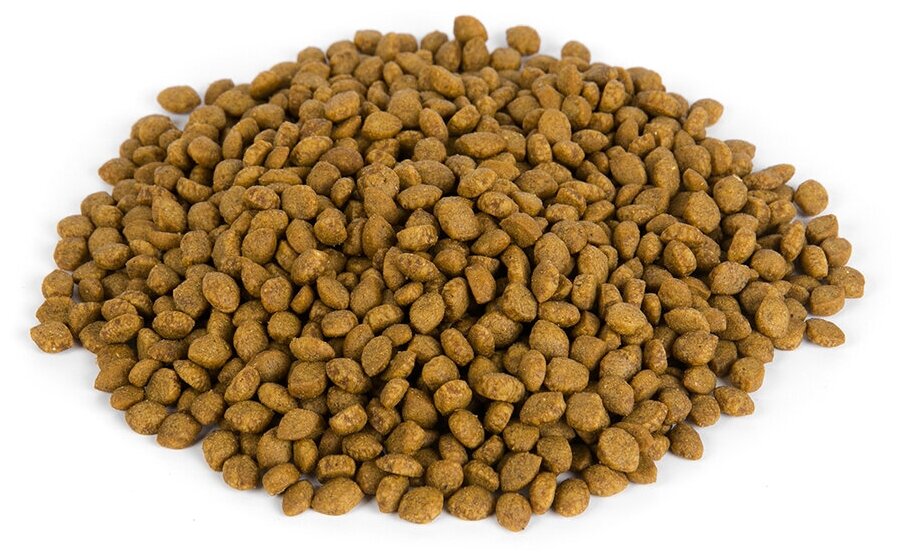 Сухой корм Delicana для котят с чувствительным пищеварением Индейка, 400 г - фотография № 7