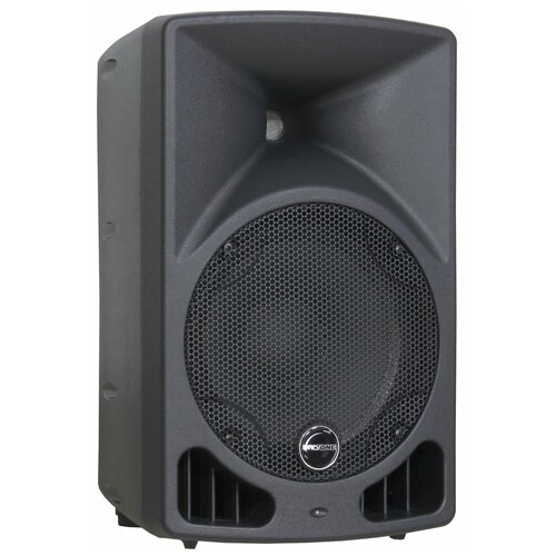 Активная АС Invotone IPS10LA 2155900₽