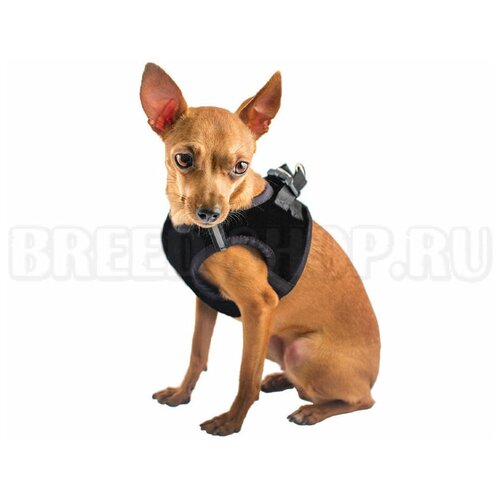 Дарэлл 035004 ZooM Шлейка текстильная Герда №4 3-х-слойная Вельвет+3d-сетка, обхват груди 32-38см