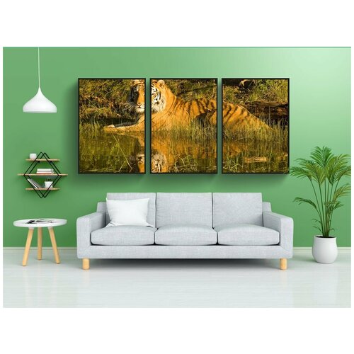 фото Набор модулных постеров для интерьера "тигр, сибирский тигр, отражение тигра" 60x90 см. в тубусе, без рамки lotsprints