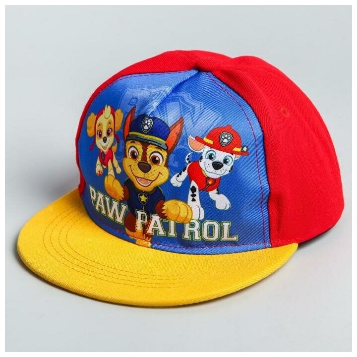 Кепка  Paw Patrol