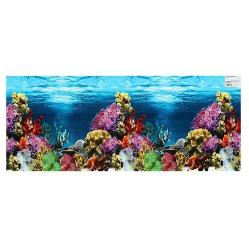 Фон для аквариума, 40 см, рулон 25 м, "Hidde", цвет разноцветный