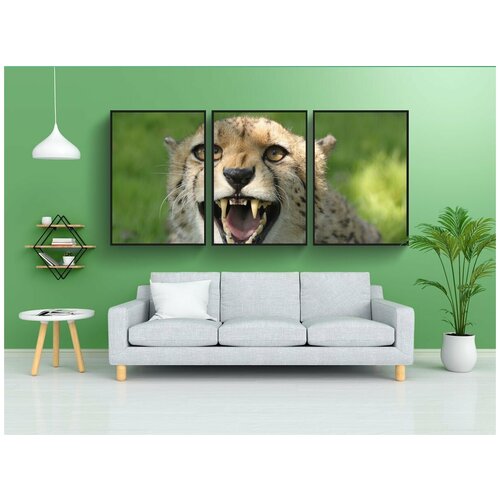 фото Набор модулных постеров для интерьера "гепард, кошка, хищник" 60x90 см. в тубусе, без рамки lotsprints