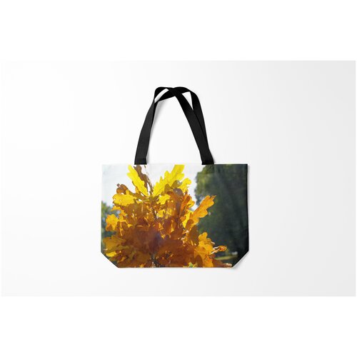 фото Сумка-шоппер / 46х35 см / популярные иллюстрации / листья букет из осенних листьев burnettie