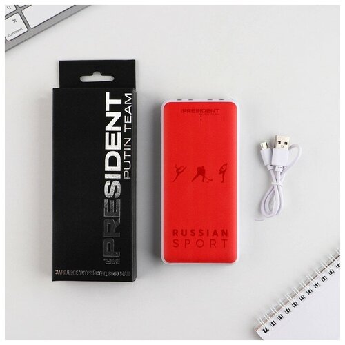 Зарядное устройство Russian sport 8000мА модель PB-25 145 х 69 см 228800₽