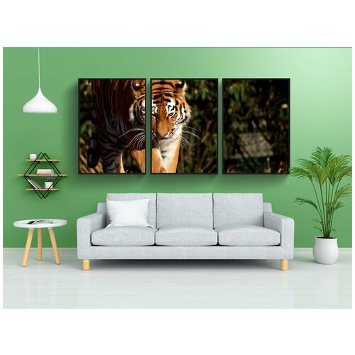 фото Набор модулных постеров для интерьера "тигр, большой кот, хищник" 60x90 см. в тубусе, без рамки lotsprints
