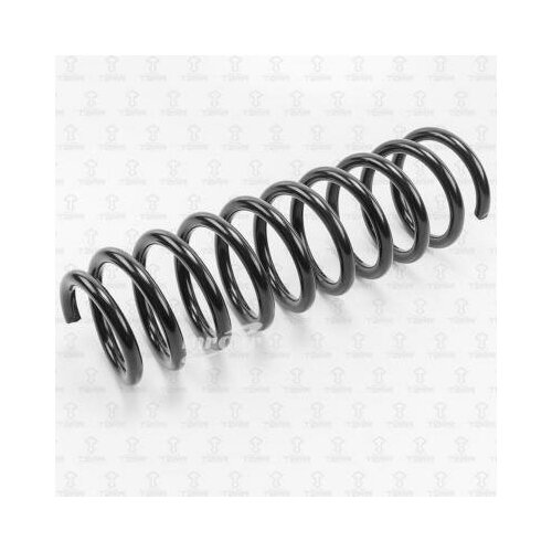 фото Torr df0135 пружина подвески задняя